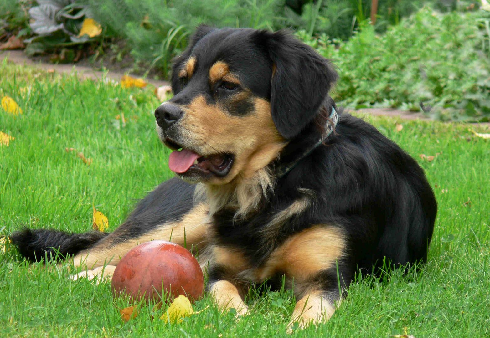 Meine Freundin "Bonnie"