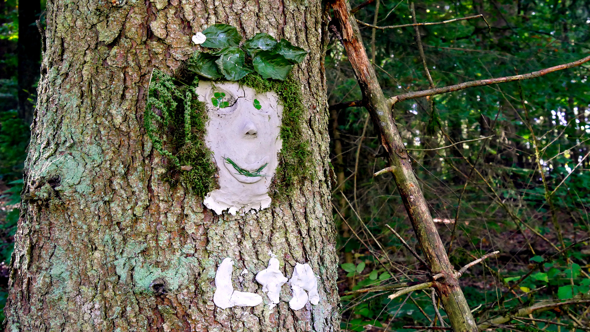 Meine Freundin, Fräulein Baum