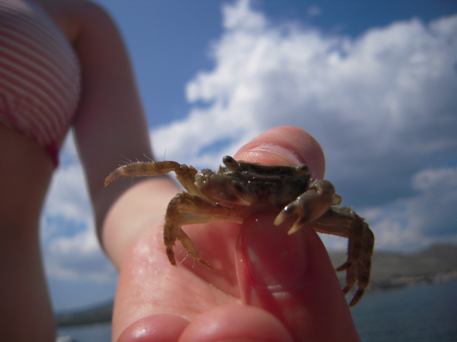 Meine Freundin und ein Krebs in Kroatien