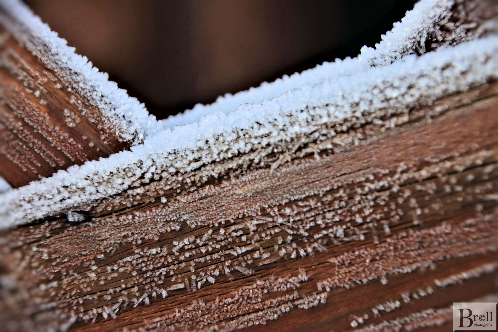 Meine Frostaufnahme nach -5 Grad in der Nacht