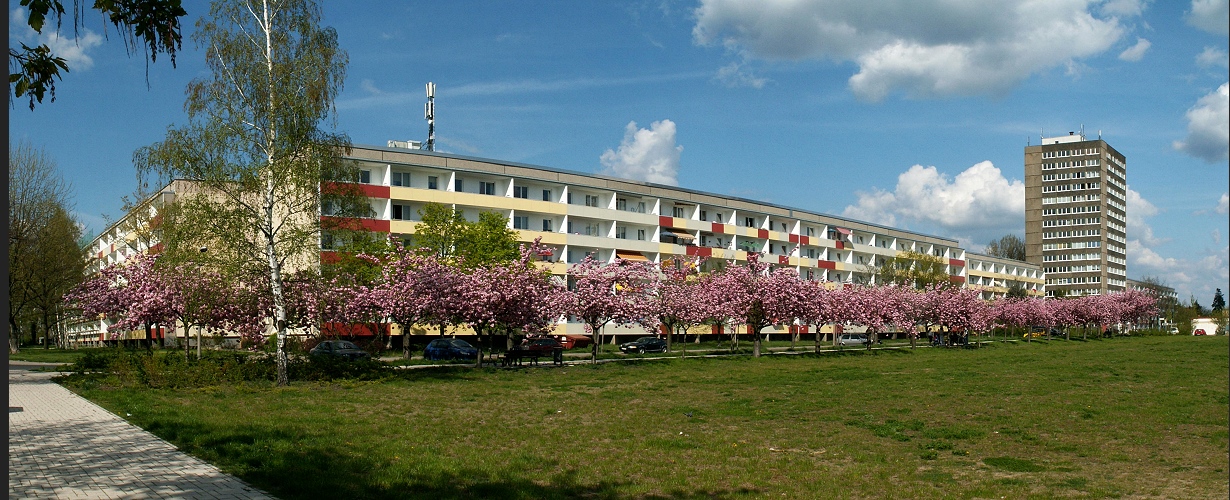 Meine Frühjahrs-Lieblings-Allee