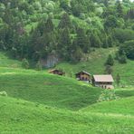 meine geliebte Alm in Hochsavoyen ...