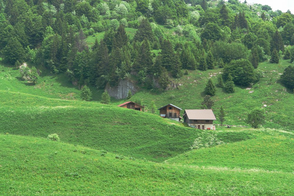 meine geliebte Alm in Hochsavoyen ...