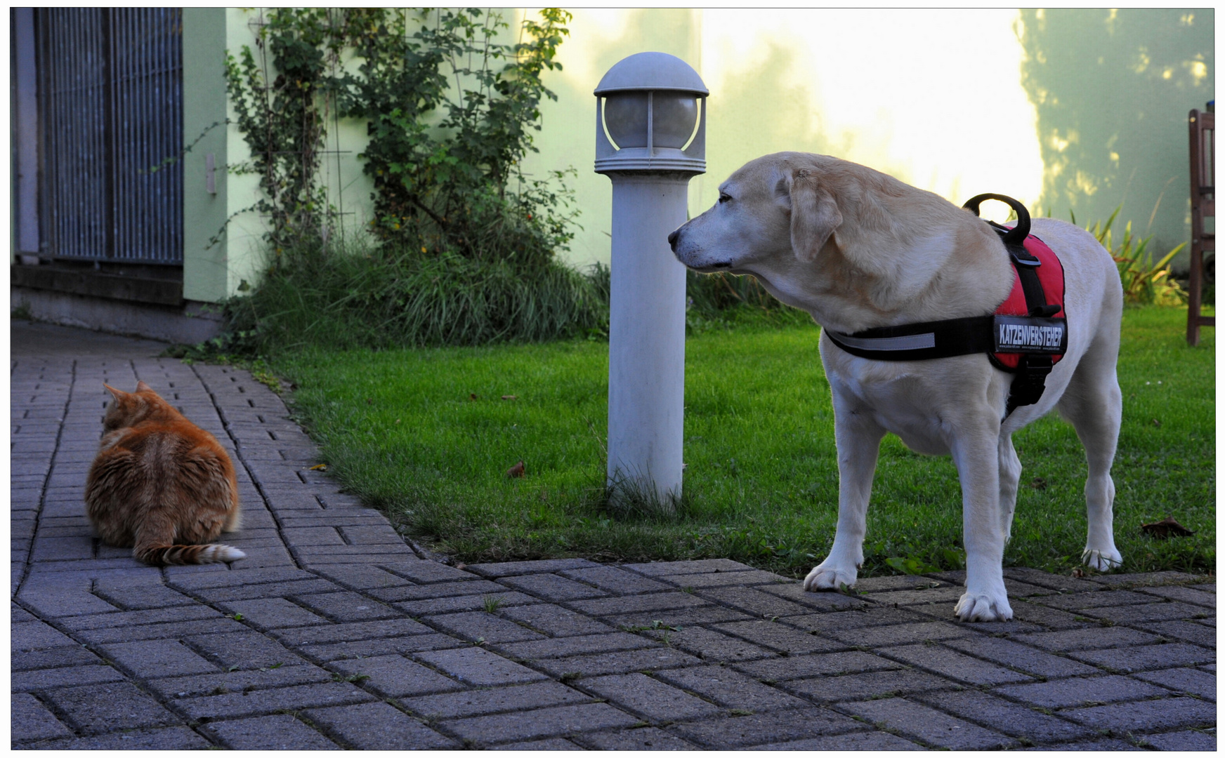 Meine geliebte Bonnie und ihr Freund (Mi querida Bonnie y su amigo)