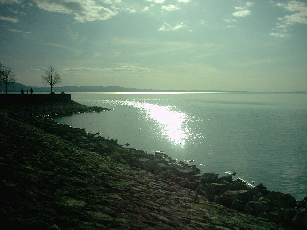 meine geliebte Hintere Insel (Lindau)