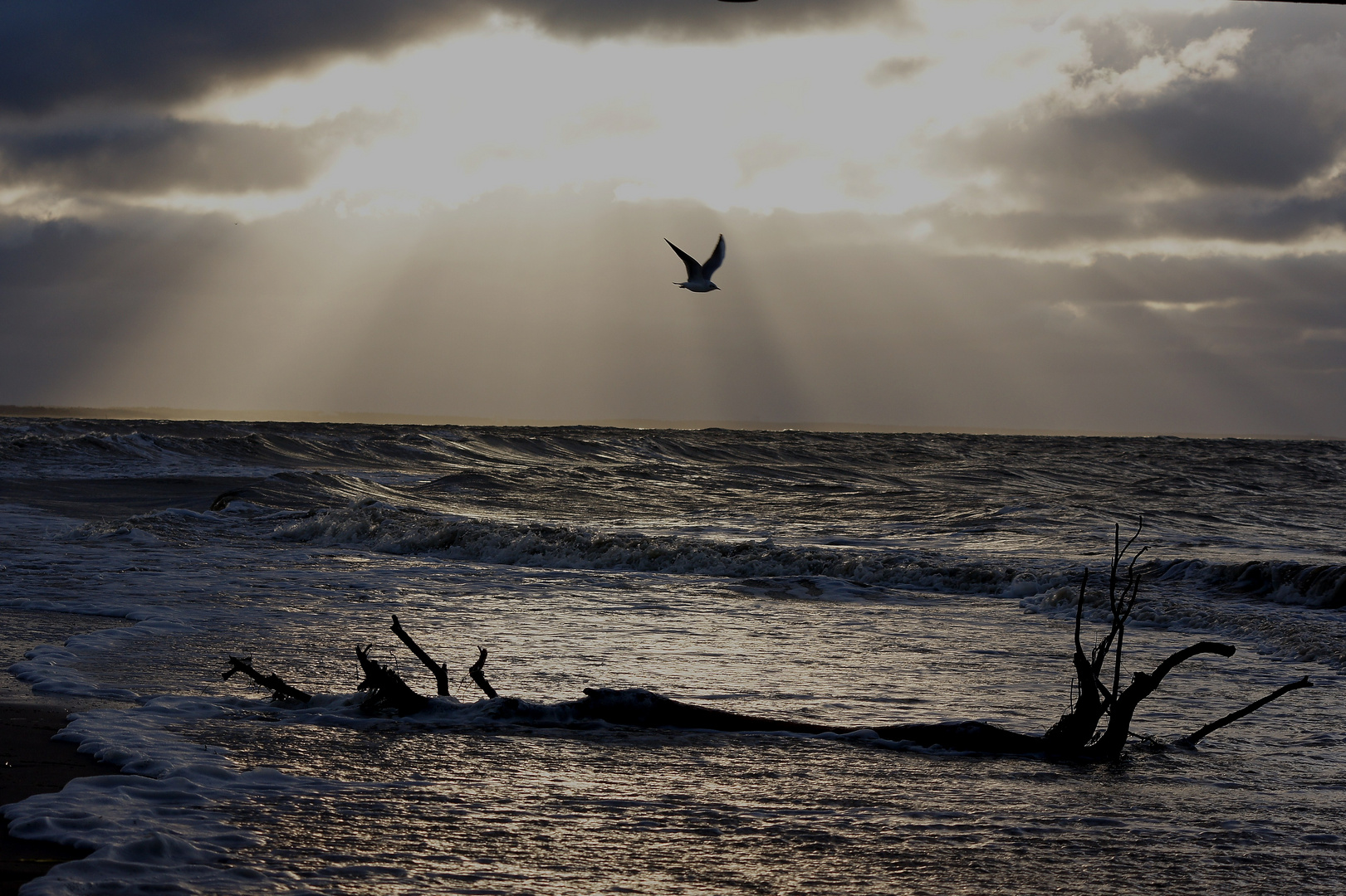 Meine geliebte Ostsee im Dezember 2010...