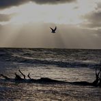 Meine geliebte Ostsee im Dezember 2010...