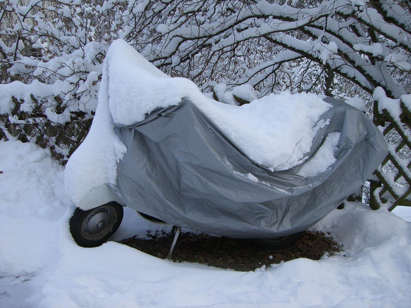 Meine geliebte, winterliche Vespa