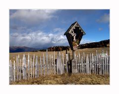 meine gestrige Wanderung, gut für Leib und Seele