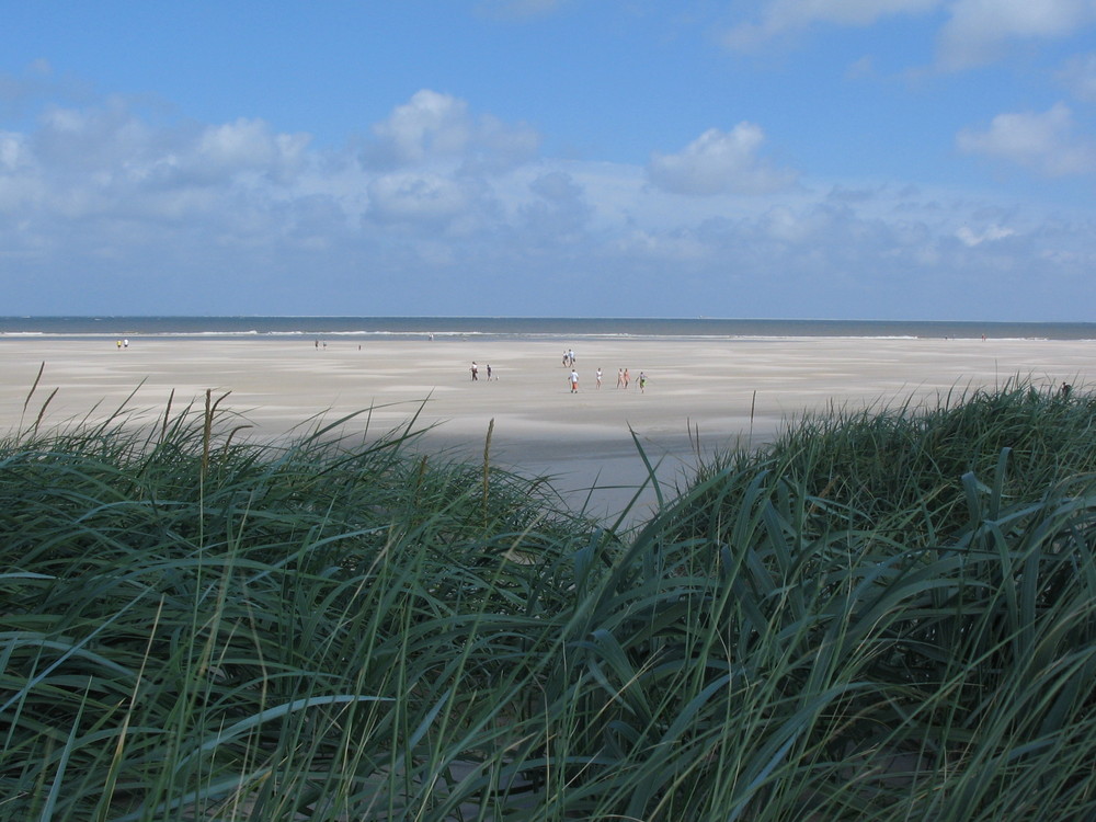 Meine goldene Sandbank INSEL TEXEL