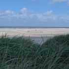 Meine goldene Sandbank INSEL TEXEL