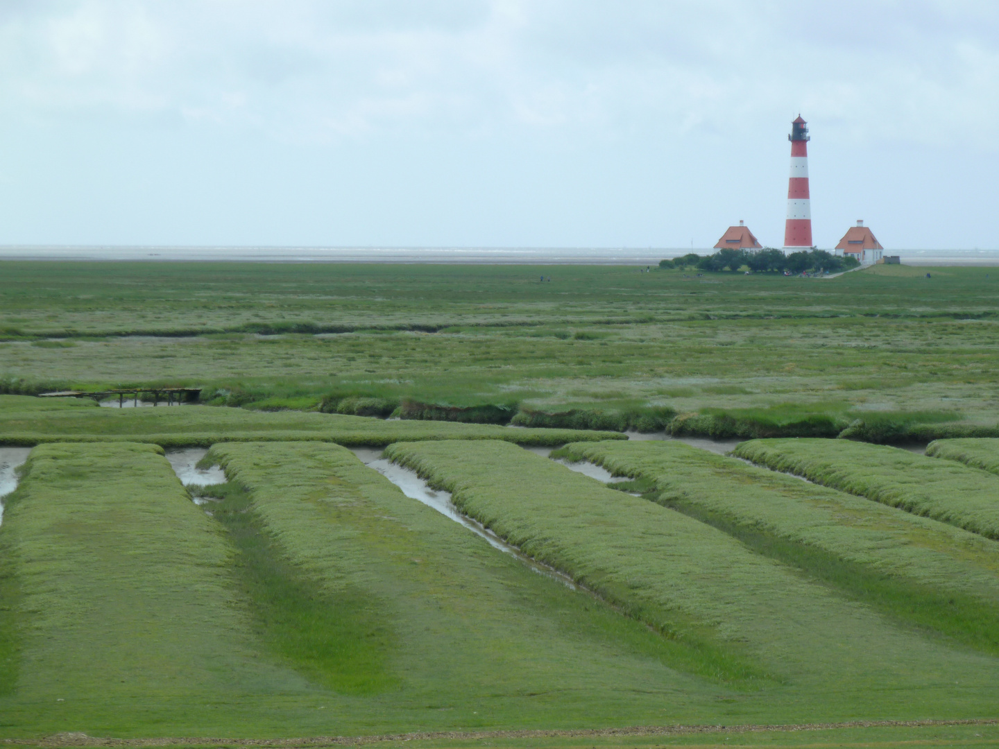 Meine große Liebe ....... Westerhever Sand