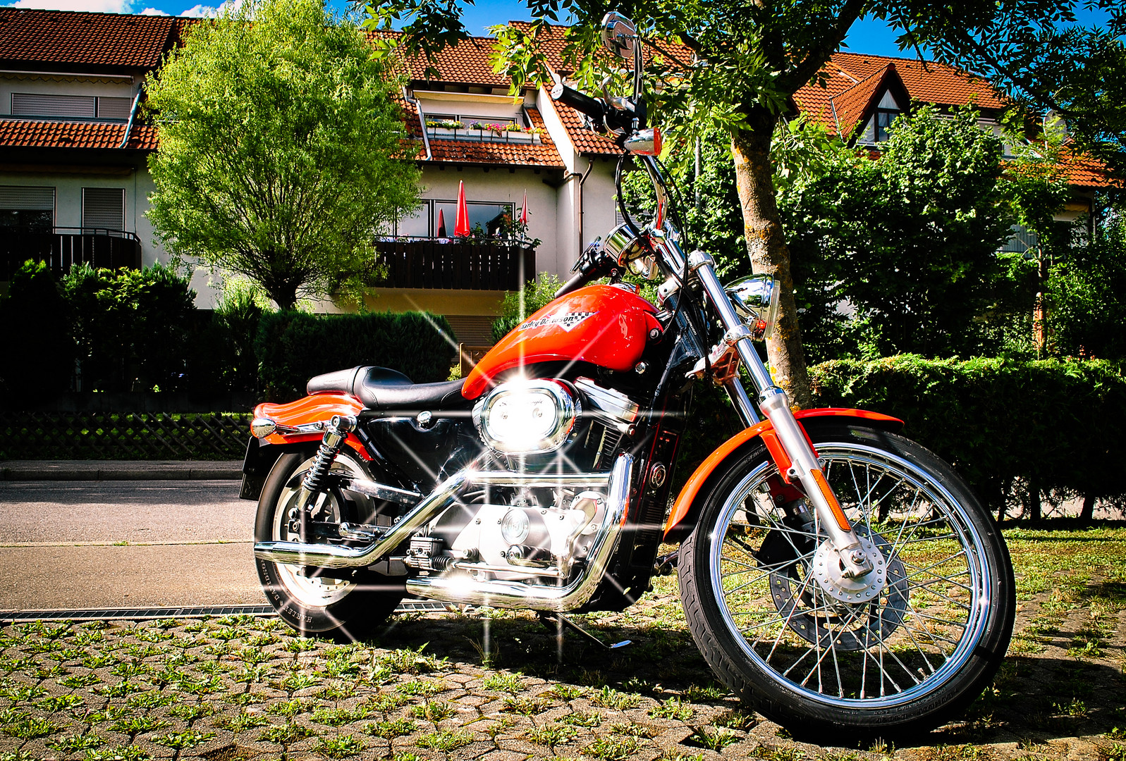 Meine Harley Davidson Sportster 883 Custom Bj. 2000
