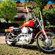 Meine Harley Davidson Sportster 883 Custom Bj. 2000