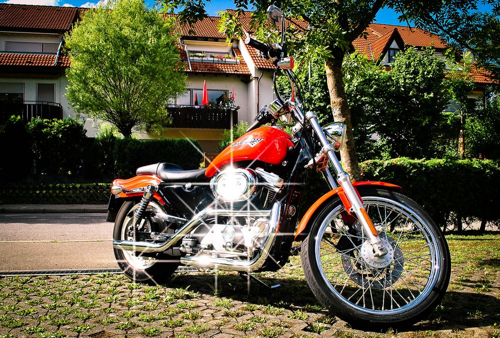 Meine Harley Davidson Sportster 883 Custom Bj. 2000 von Mr. Mountainer 