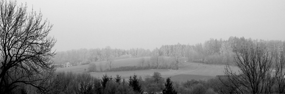 meine Heimat