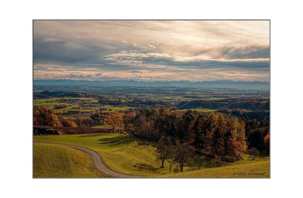 meine heimat