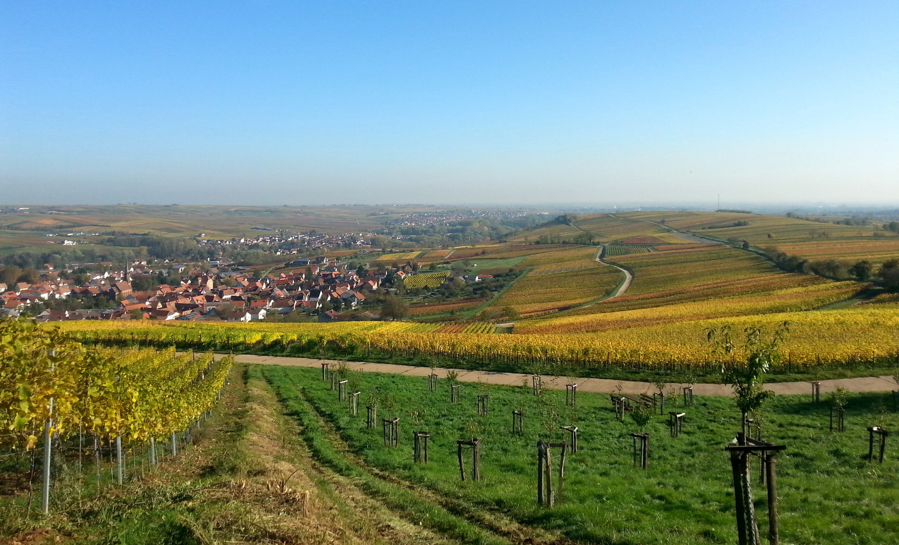 meine Heimat an der Südlichen Weinstraße