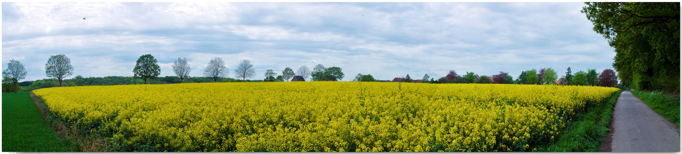 meine Heimat (Bild bitte scrollen )