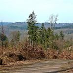 Meine Heimat, das Bergische Land ...