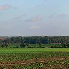 Meine Heimat - das Münsterland