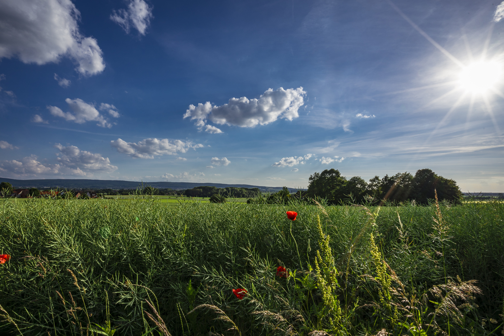 Meine Heimat: Der Deister vom Stemmer Berg am Abend