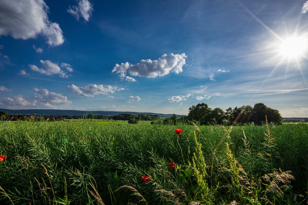 Meine Heimat: Der Deister vom Stemmer Berg am Abend