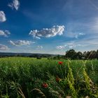 Meine Heimat: Der Deister vom Stemmer Berg am Abend