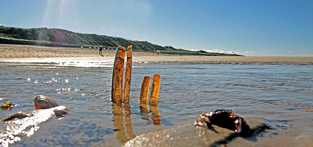 meine heimat - der schönste fleck auf erden - meine freie republik sylt