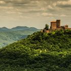 Meine Heimat: Die Pfalz