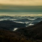 Meine Heimat: Die Pfalz