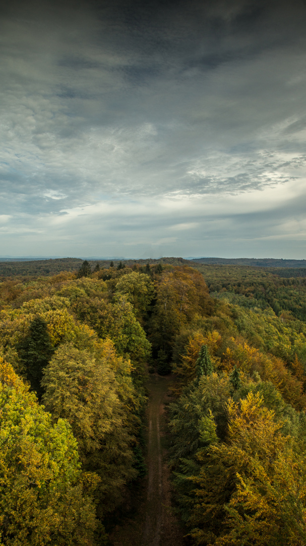 Meine Heimat: Die Pfalz