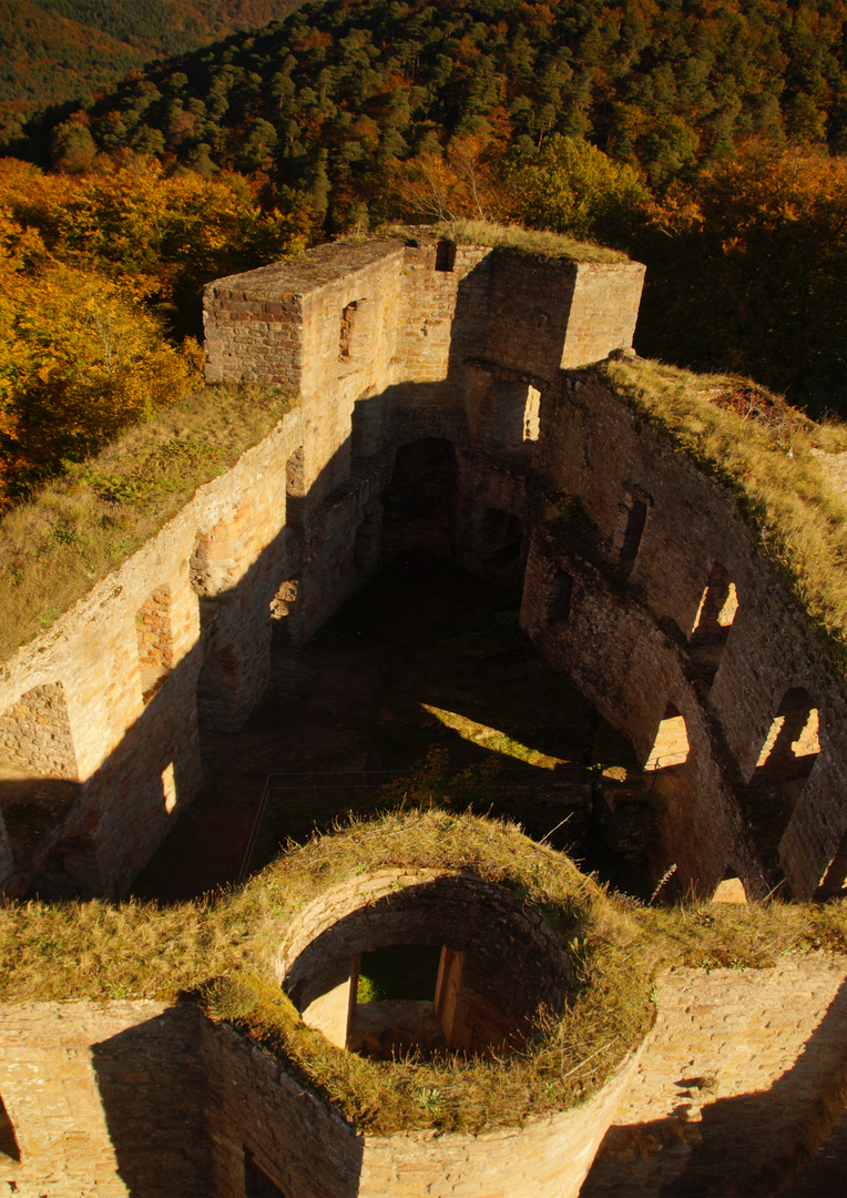 Meine Heimat: Die Pfalz. Gräfenstein