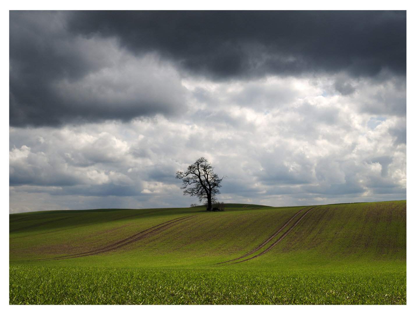 Meine Heimat - Feld III