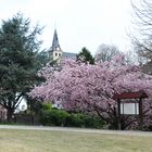 Meine Heimat im Frühling