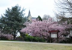 Meine Heimat im Frühling