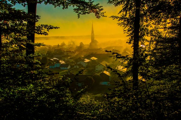 Meine Heimat im Morgennebel