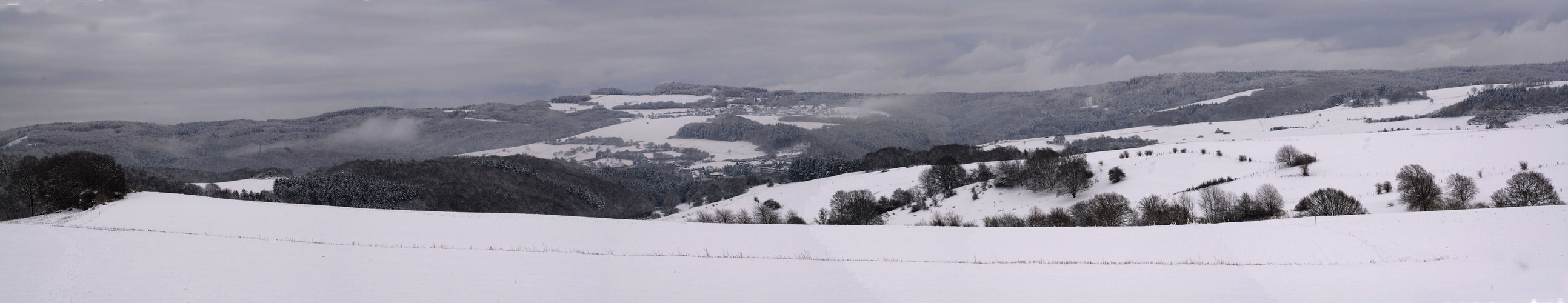 Meine Heimat im trüben Licht des Schneewinters