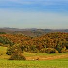 MEINE HEIMAT IN HERBSTFARBEN