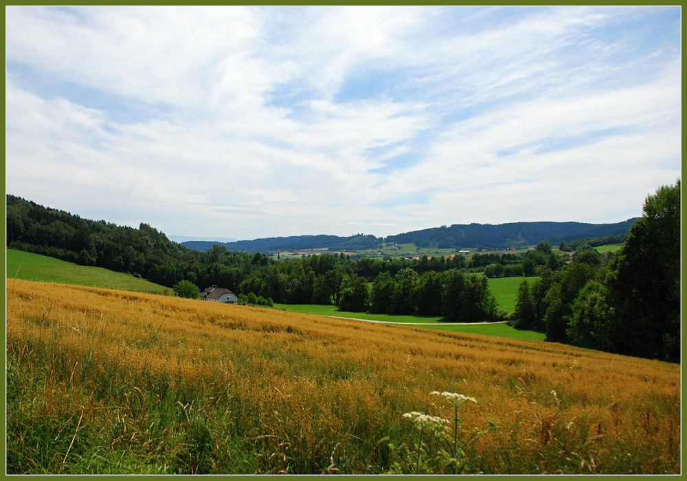 Meine Heimat = Mein Jagdrevier....