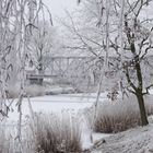 Meine Heimat Nordsachsen 