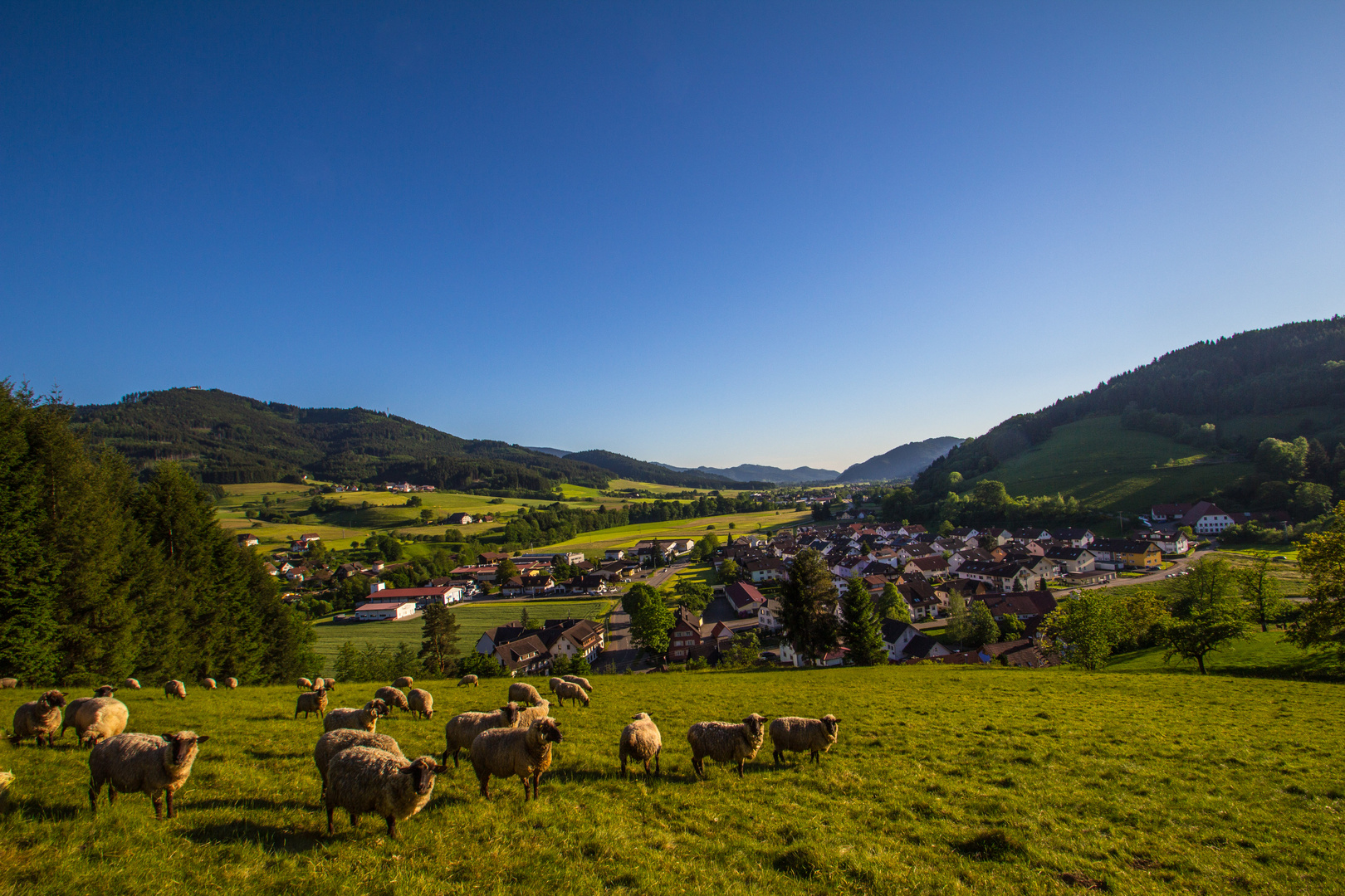 Meine Heimat "Schwarzwald Oberwinden"