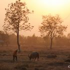 Meine Heimat Udon Thani ,Thailand