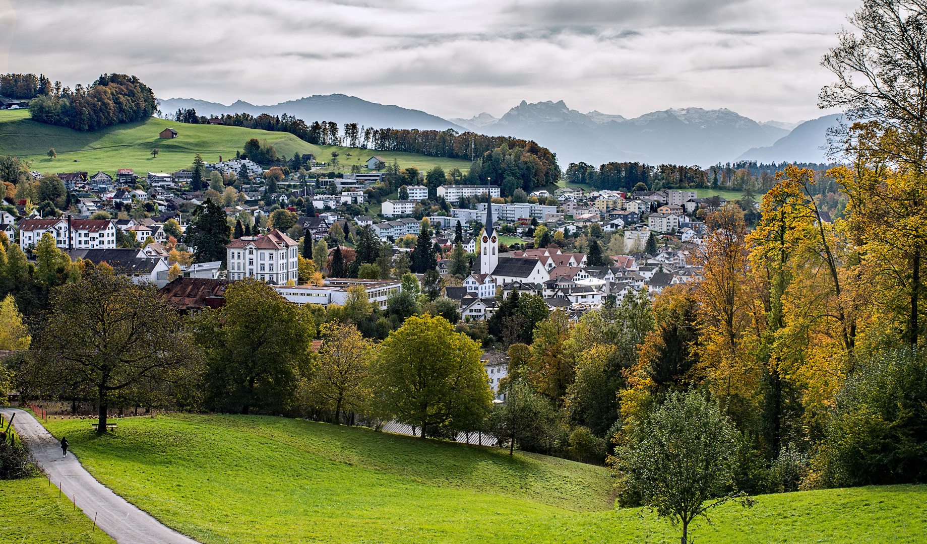 Meine Heimat Wald ZH