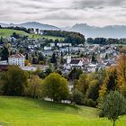 Meine Heimat Wald ZH