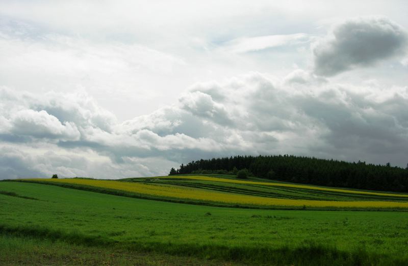 meine heimat "waldviertel"