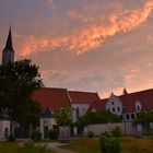 Meine Heimatstadt Coswig/Anhalt erwacht ... 