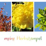 meine Herbstampel