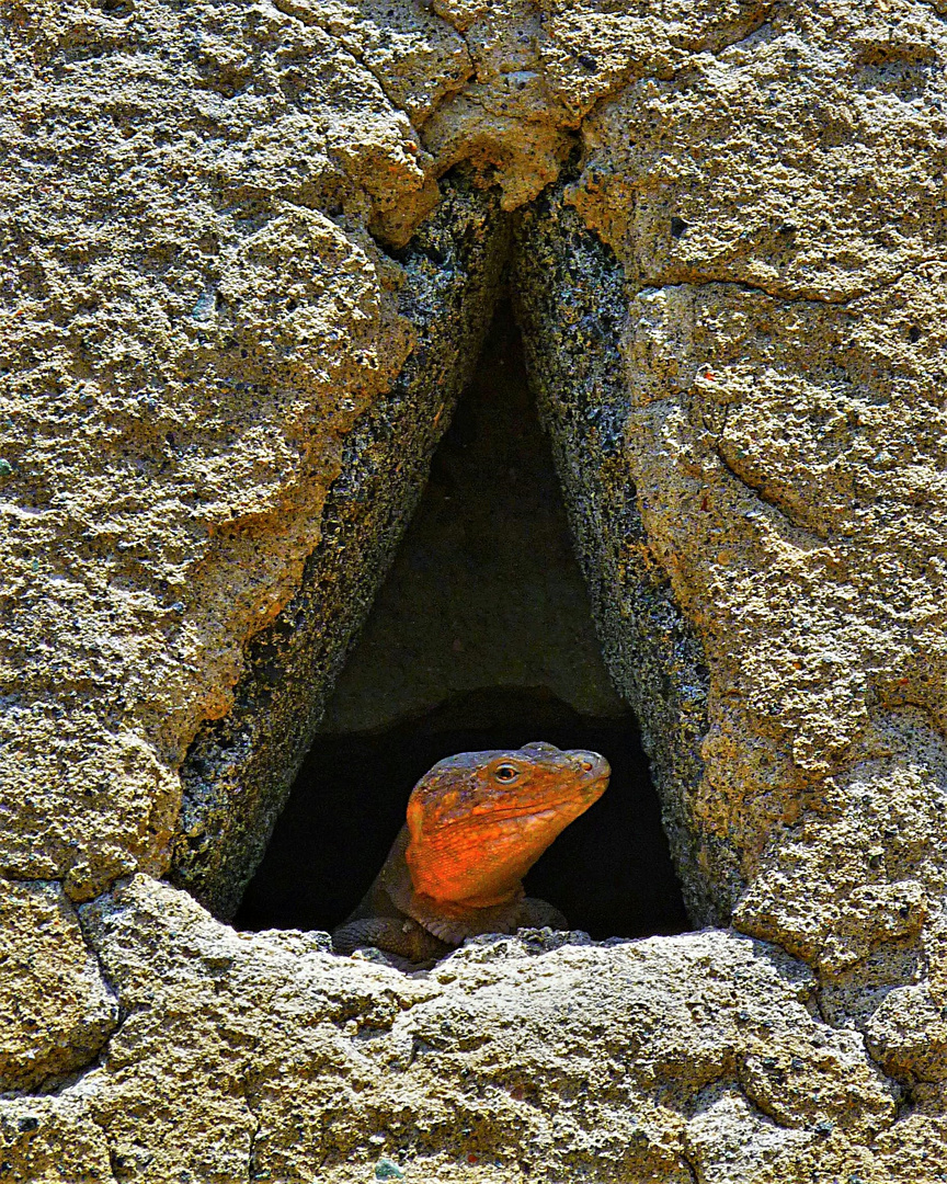 Meine Höhle