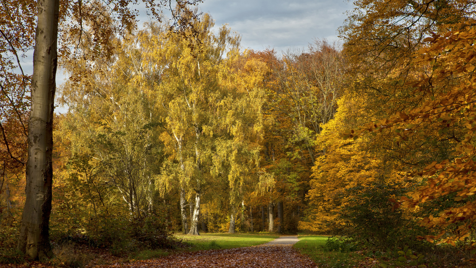 Meine Joggingstrecke